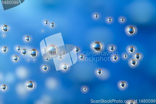 Image of bubbles macro