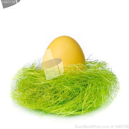 Image of easter egg in nest