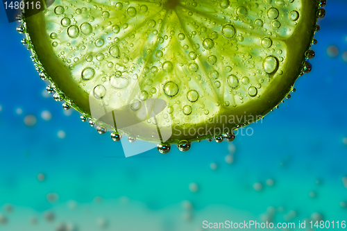 Image of lime in the water