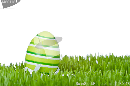 Image of easter egg in grass