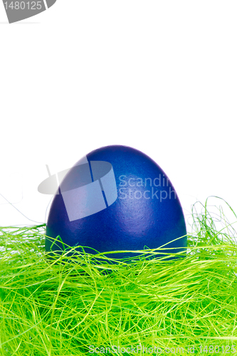 Image of easter egg in nest
