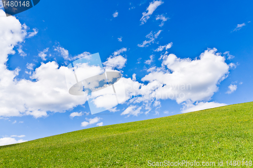 Image of green field