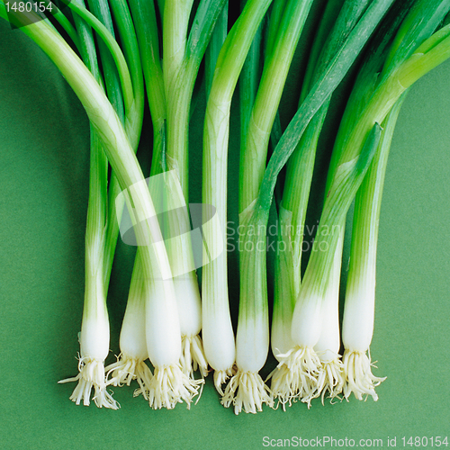 Image of young onion