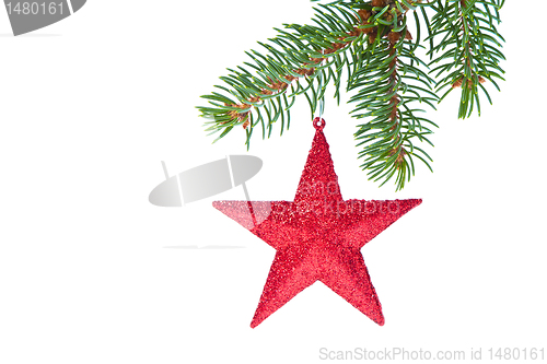 Image of red christmas star hanging from tree