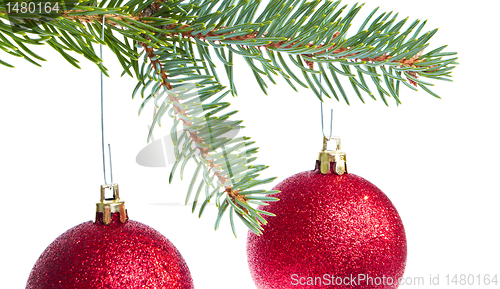 Image of red christmas ball hanging from tree