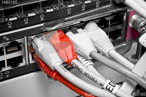Image of patch cables