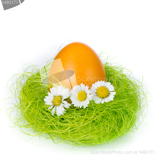 Image of easter egg in nest