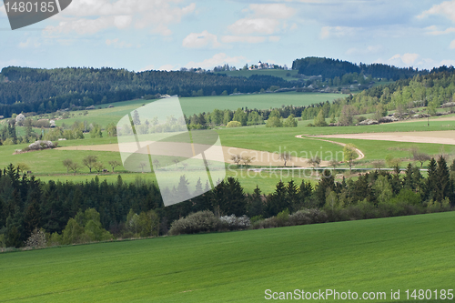 Image of green field