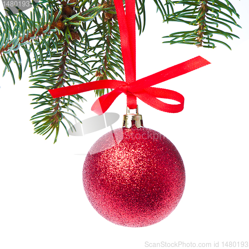 Image of red christmas ball hanging from tree