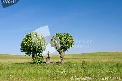 Image of cross in the field