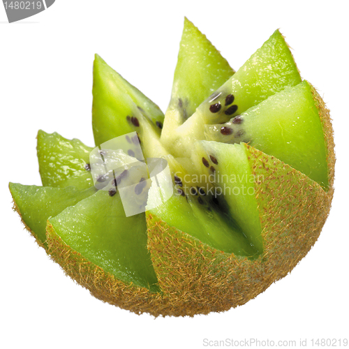 Image of kiwi