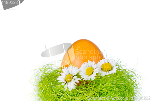 Image of easter egg in nest