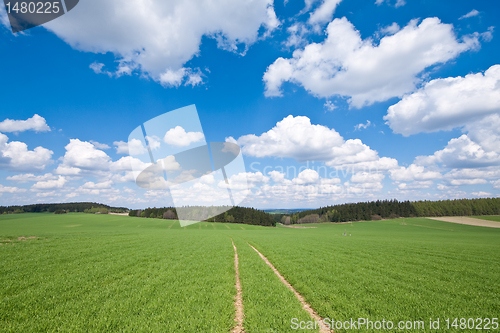 Image of green field