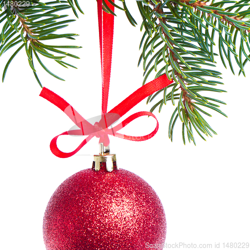 Image of red christmas ball hanging from tree