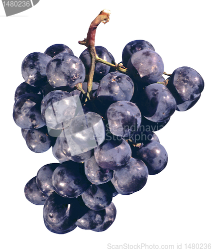 Image of grapes