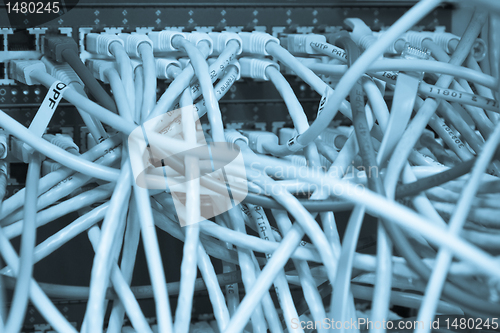 Image of ethernet cables