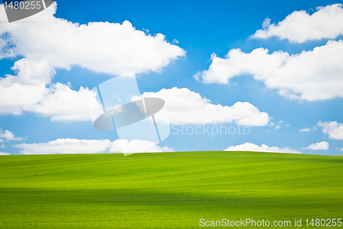 Image of green field