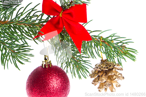Image of christmas ball on branch