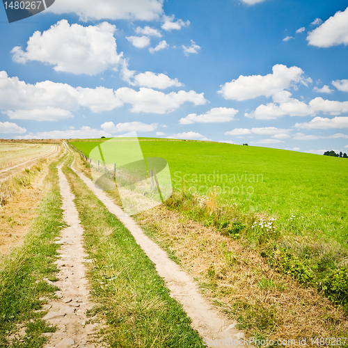 Image of agriculture landscape