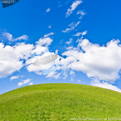 Image of green field