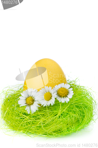 Image of easter egg in nest