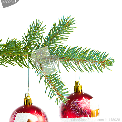Image of red christmas ball on branch