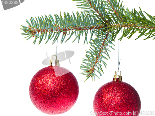 Image of red christmas ball hanging from tree