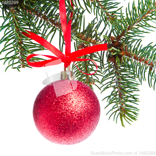 Image of red christmas ball hanging from tree