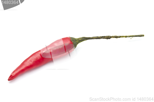 Image of Red Chilli