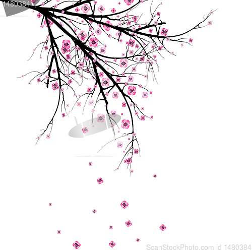 Image of Blossom Cherry  