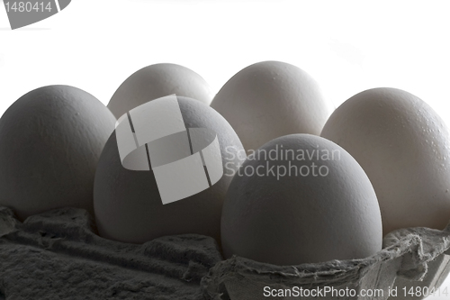 Image of Eggs