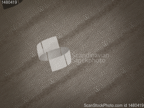 Image of Alligator skin with stripes: useful as background or texture