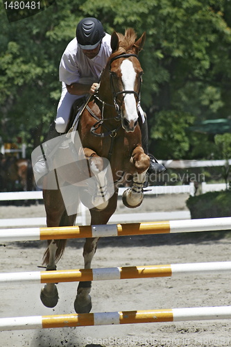 Image of Rider and horse