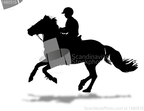 Image of rider silhouette 