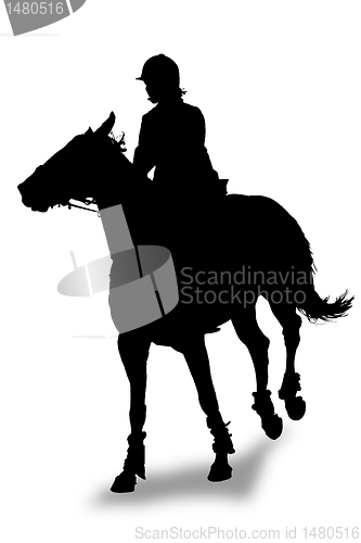 Image of rider silhouette 