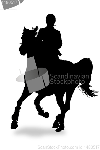 Image of rider silhouette 