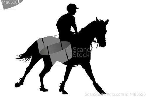 Image of rider silhouette 