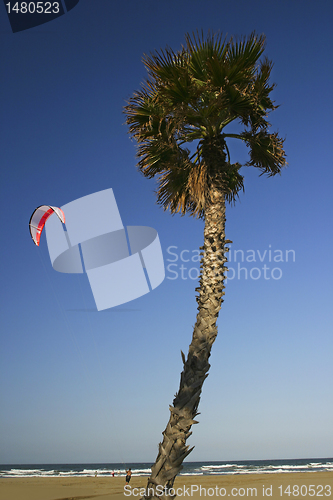 Image of Kite Surf