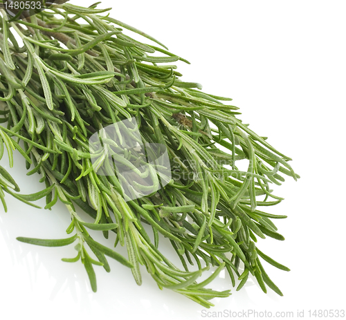 Image of Rosemary Herb