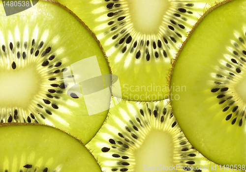 Image of Kiwi Fruit Close Up