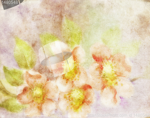 Image of Old Paper Floral Texture