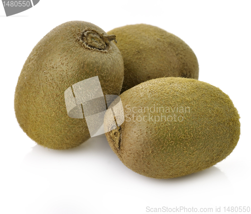 Image of Kiwi Fruit Close Up