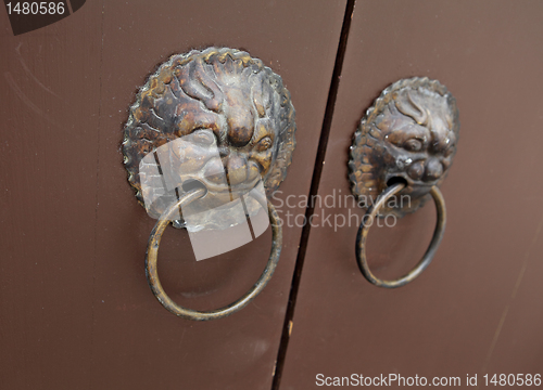 Image of lion door lock