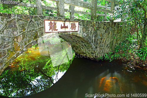 Image of Bridge in forest