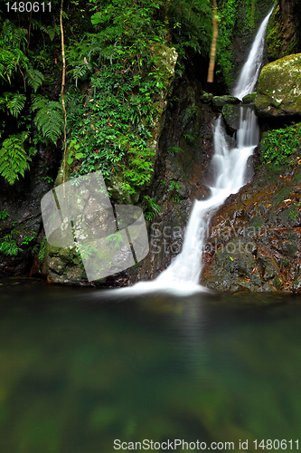 Image of Waterfall in forest