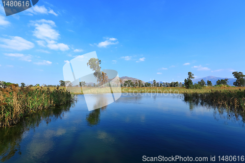 Image of Beautiful lake view