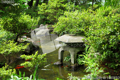 Image of Japanese garden