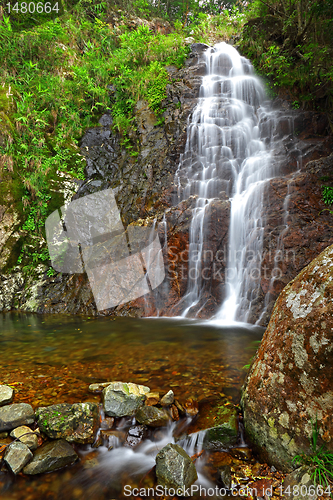 Image of Waterfall in forest