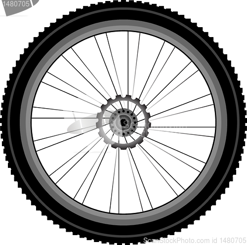 Image of bike wheel isolated on white