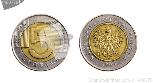 Image of The Polish money (zloty)